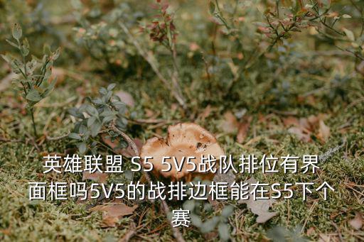 lol手游选择界面怎么用队五，英雄联盟 S5 5V5战队排位有界面框吗5V5的战排边框能在S5下个赛