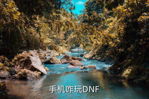 手机咋玩DNF