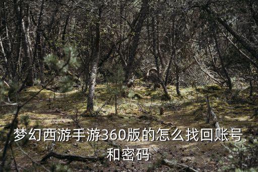 梦幻西游手游360版的怎么找回账号和密码