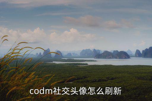 codm社交头像怎么刷新