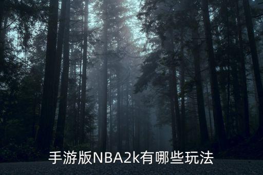 nba2k手游怎么用，手机版NBA2K14怎么操作快速游戏