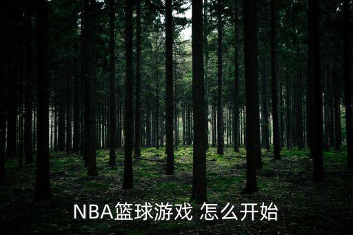 NBA篮球游戏 怎么开始