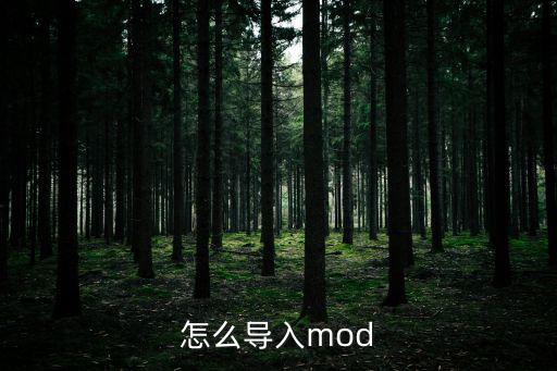 怎么导入mod