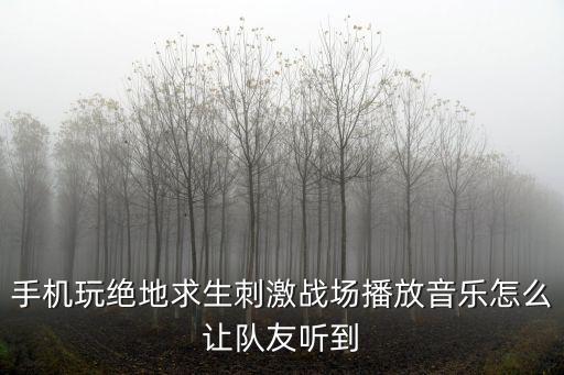 手机玩绝地求生刺激战场播放音乐怎么让队友听到