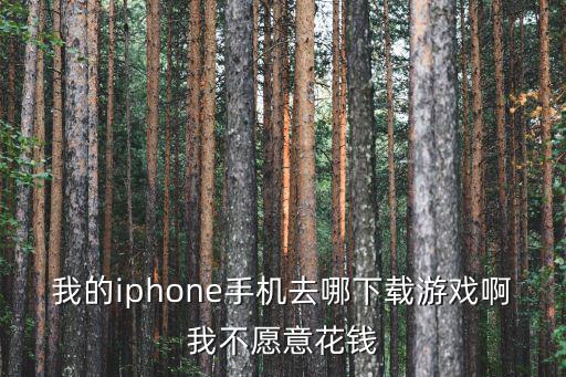 我的iphone手机去哪下载游戏啊我不愿意花钱