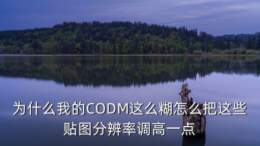 为什么我的CODM这么糊怎么把这些贴图分辨率调高一点