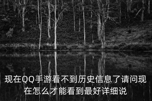 现在QQ手游看不到历史信息了请问现在怎么才能看到最好详细说