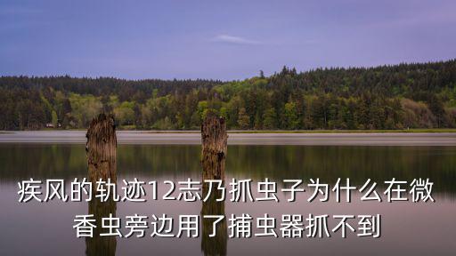 火影忍者手游大志乃的虫子怎么躲，疾风的轨迹12志乃抓虫子为什么在微香虫旁边用了捕虫器抓不到