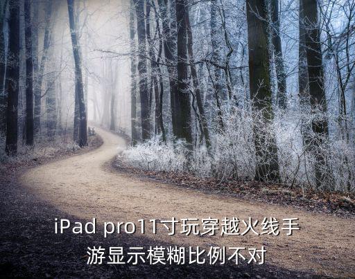 iPad pro11寸玩穿越火线手游显示模糊比例不对