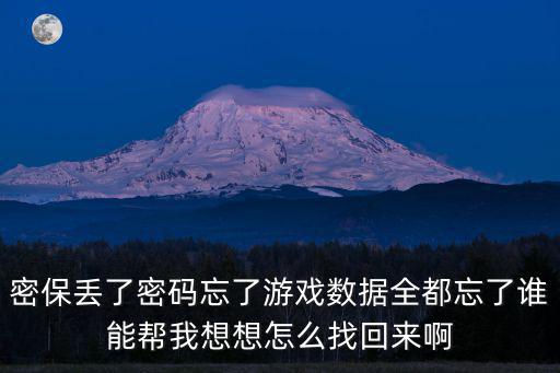 密保丢了密码忘了游戏数据全都忘了谁能帮我想想怎么找回来啊