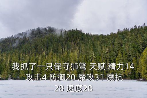 我抓了一只保守狮鹫 天赋 精力14 攻击4 防御20 魔攻31 魔抗28 速度28