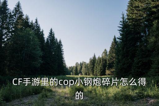 CF手游里的cop小钢炮碎片怎么得的