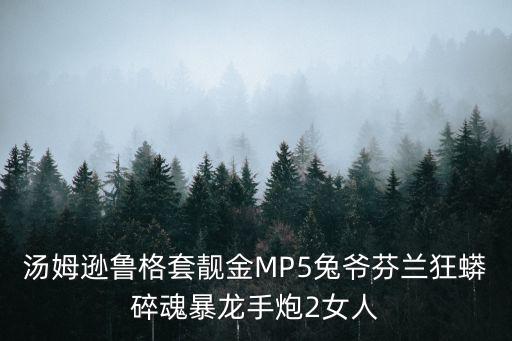 汤姆逊鲁格套靓金MP5兔爷芬兰狂蟒碎魂暴龙手炮2女人