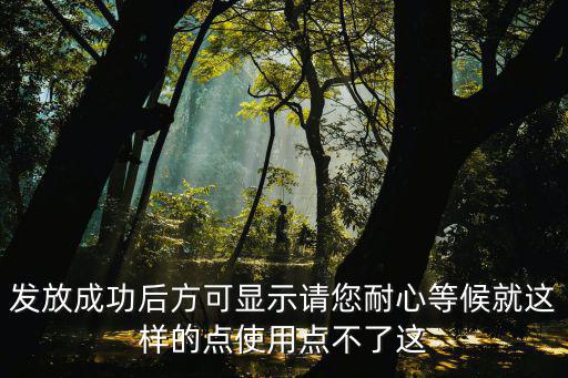 发放成功后方可显示请您耐心等候就这样的点使用点不了这