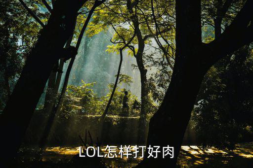 LOL怎样打好肉