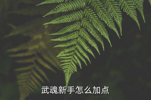 武魂新手怎么加点