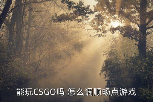 能玩CSGO吗 怎么调顺畅点游戏