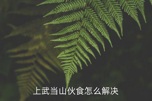 火影忍者手游伙食怎么解决，上武当山伙食怎么解决