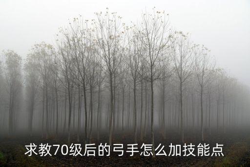 求教70级后的弓手怎么加技能点