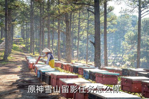 原神手游中怎么到达雪山山顶，原神如何上山