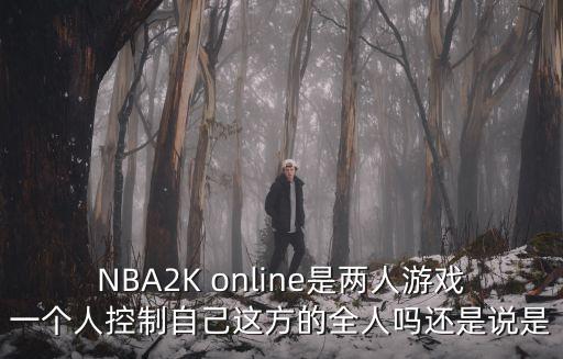 NBA2K online是两人游戏一个人控制自己这方的全人吗还是说是