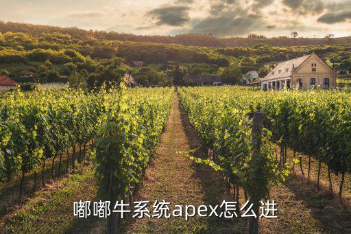 apex手游安卓怎么登，嘟嘟牛系统apex怎么进