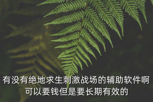 有没有绝地求生刺激战场的辅助软件啊可以要钱但是要长期有效的