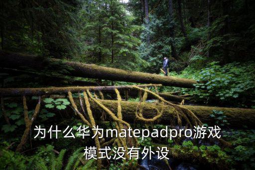 为什么华为matepadpro游戏模式没有外设