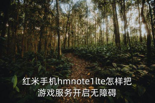 红米手机hmnote1lte怎样把游戏服务开启无障碍