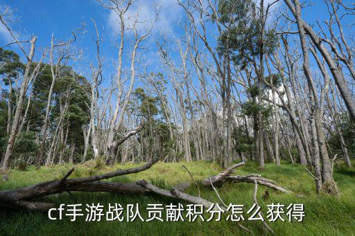 cf手游怎么捐战队积分，cf手游战队贡献积分怎么获得