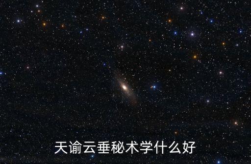 天谕云垂秘术学什么好