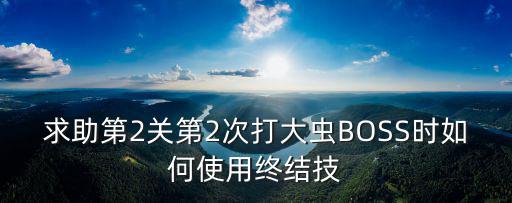 求助第2关第2次打大虫BOSS时如何使用终结技