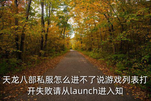 天龙八部私服怎么进不了说游戏列表打开失败请从launch进入知