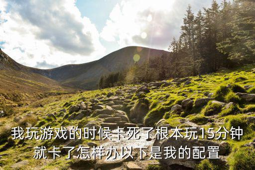 我玩游戏的时候卡死了根本玩15分钟就卡了怎样办以下是我的配置