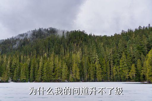 问道手游无法升级怎么办，问道升级不了