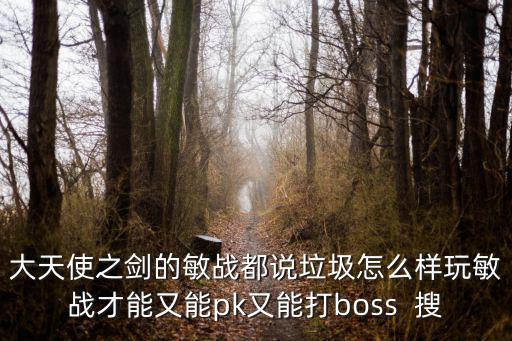 大天使之剑的敏战都说垃圾怎么样玩敏战才能又能pk又能打boss  搜