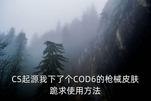 CS起源我下了个COD6的枪械皮肤跪求使用方法