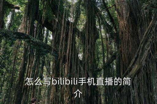 怎么写bilibili手机直播的简介