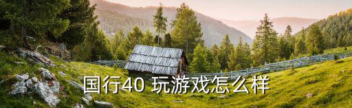 国行40 玩游戏怎么样