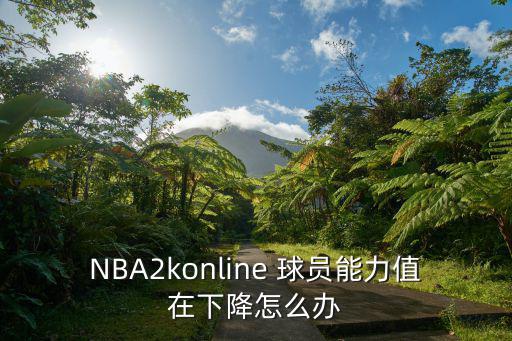 NBA2konline 球员能力值在下降怎么办