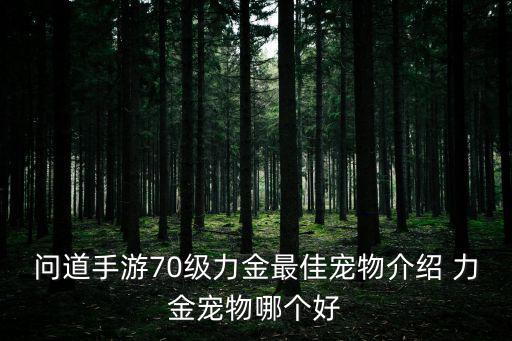 问道手游70级力金最佳宠物介绍 力金宠物哪个好