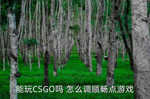 csgo手游怎么变流畅，能玩CSGO吗 怎么调顺畅点游戏