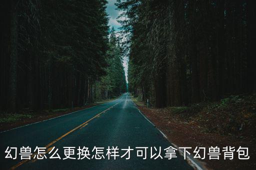 幻兽怎么更换怎样才可以拿下幻兽背包