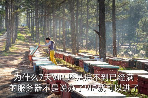 为什么7天VIP 还是进不到已经满的服务器不是说办了VIP就可以进了