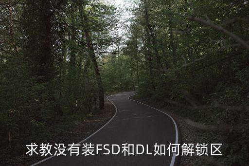 求教没有装FSD和DL如何解锁区