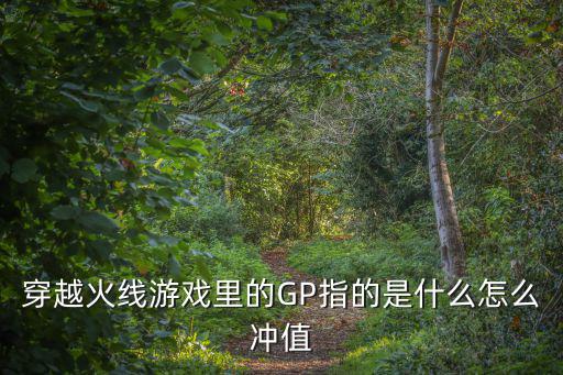 穿越火线游戏里的GP指的是什么怎么冲值