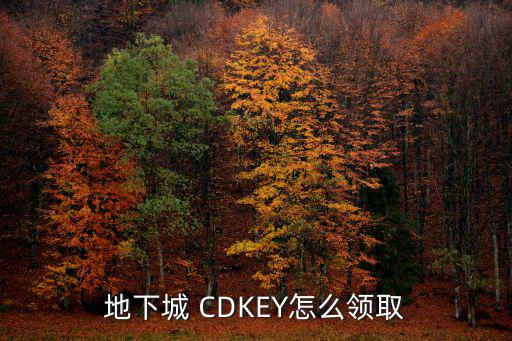 地下城 CDKEY怎么领取