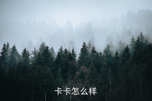 卡卡怎么样