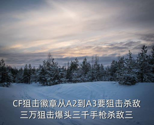 CF狙击徽章从A2到A3要狙击杀敌三万狙击爆头三千手枪杀敌三