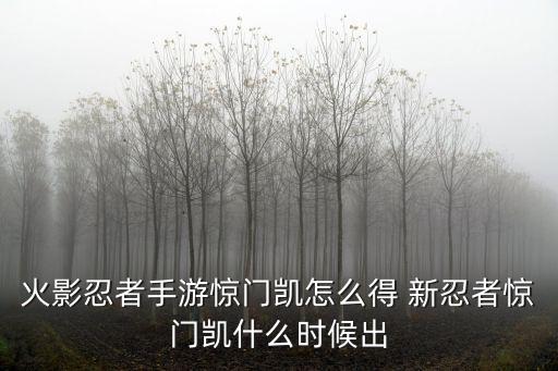 火影手游忍界大战凯怎么得，火影忍者ol凯怎么得